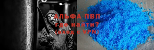 спайс Богданович