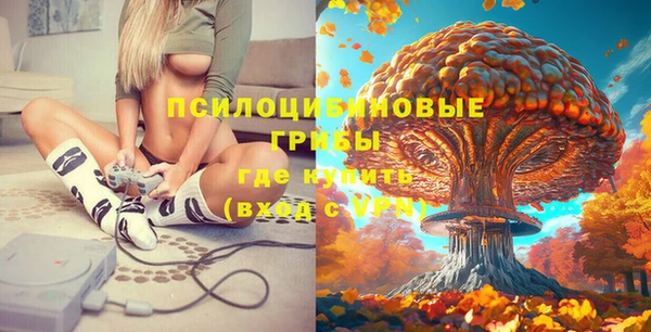 МДПВ Новосибирск