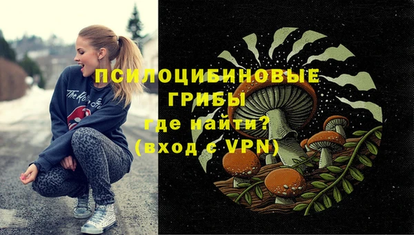 спайс Богданович