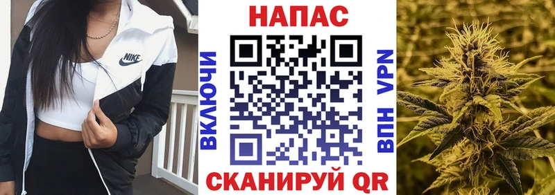 где найти наркотики  Городище  Шишки марихуана White Widow 
